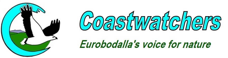 Coastwatchers logo